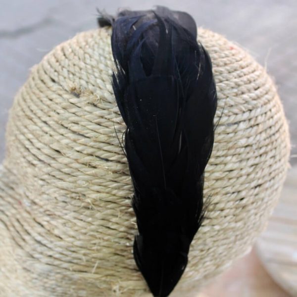 Diadema de plumas negras